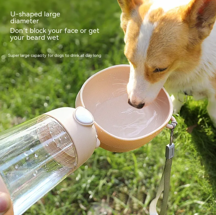 Portable Dog Water Bottle – Perfect for Walks & Travel